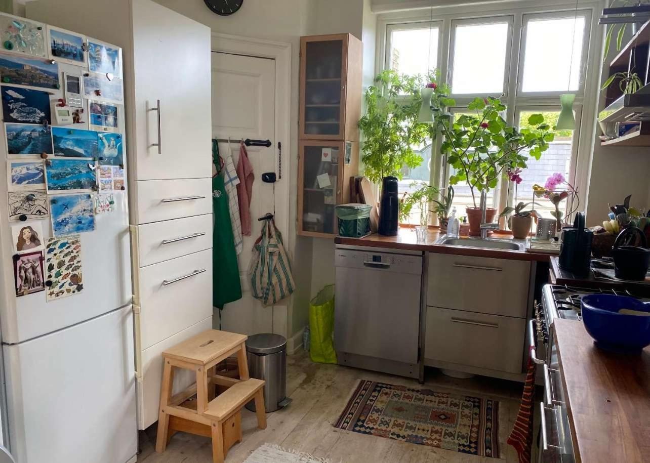 Apartment Lovely Copenhagen